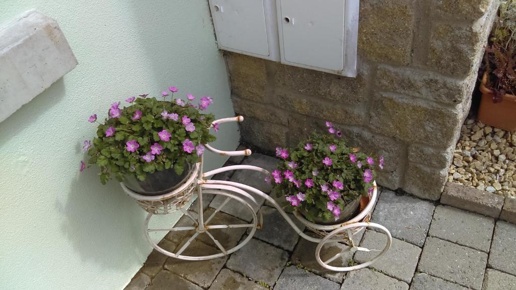 Garden View Self Catering Lough Rynn room 2
